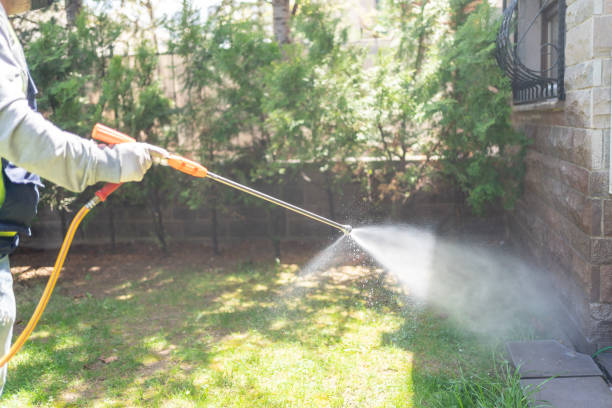 Best Pest Prevention Services  in Waterflow, NM